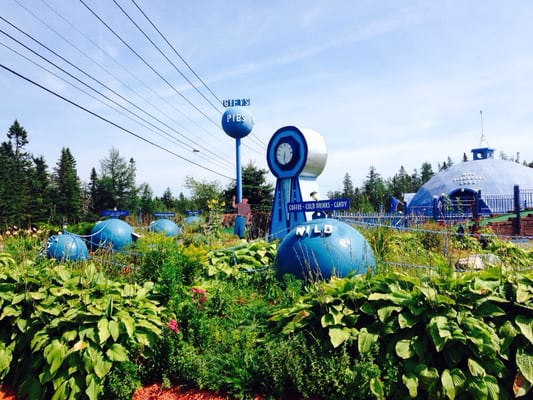 Wild Blueberry Land by null