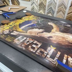 Royal Palm Framing - The Spider. :D
