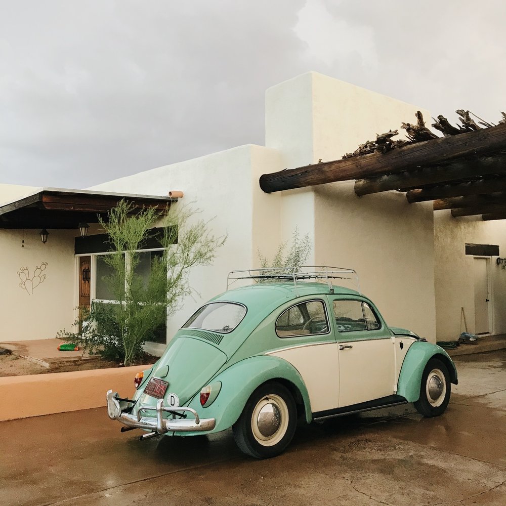 BOB’S BUG BARN - Updated September 2025 - 12 Reviews - 4481 E Irvington ...