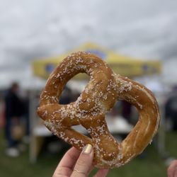 Knot of this World Pretzels - Salted pretzel
