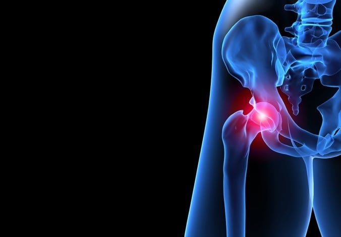 Performance Biomechanics Logo