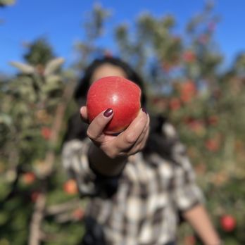 Edwards Apple Orchard - Farmers Market Near Me - Poplar Grove, Illinois