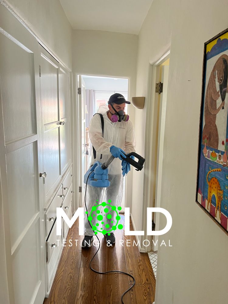 Mold Testing & Removal - mold inspector in Beverly Hills, CA