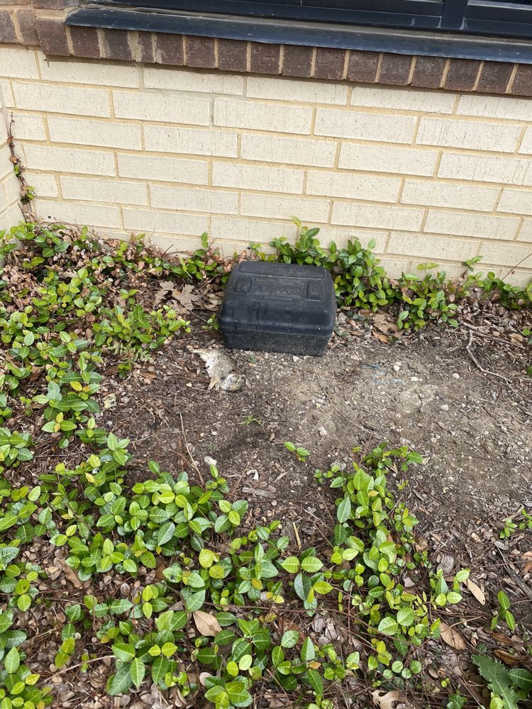 BELL FRISCO MARKET CENTER APARTMENTS Updated October 2024 43 Photos