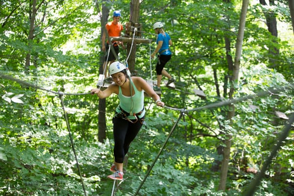 Treetop Trekking Huntsville by null