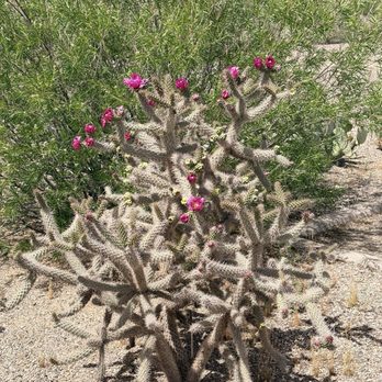 Dankworth Ponds State Park - Parks Near Me - Safford, Arizona Dankworth Ponds State Park - Parks Near Me - Safford, Arizona