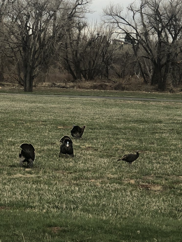 Slide of Ace Hi Plumbing & Heating & Air