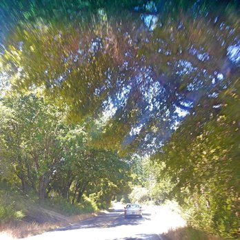 Sam McDonald Park - Parks Near Me - Loma Mar, California
