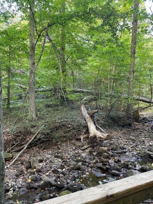 Cascade Springs Nature Preserve by null