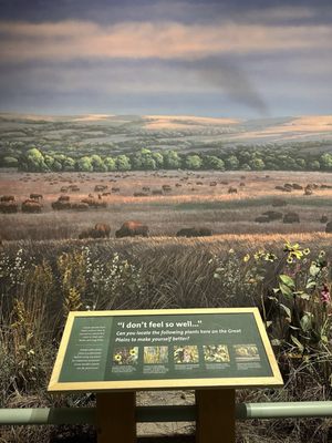 Buffalo Bill Center of the West by null
