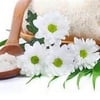 Desiree's Beauty Bar gift card