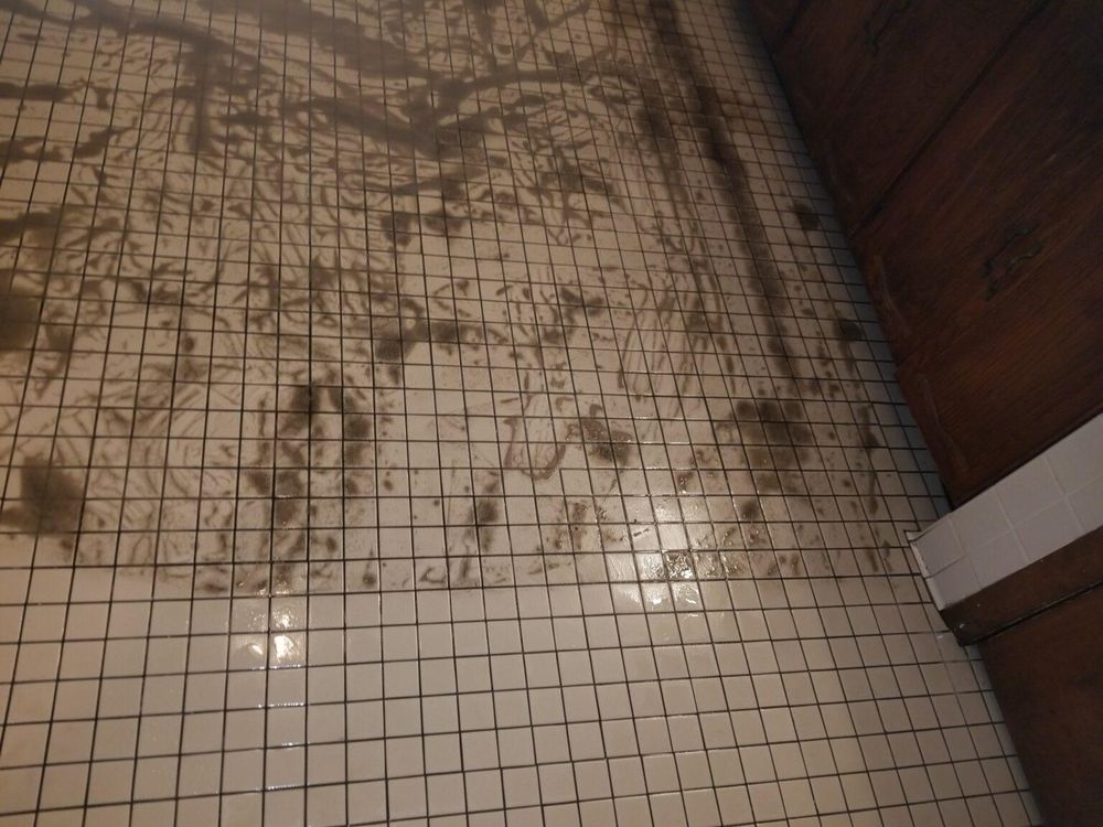 My Carpet Cleaning & Restoration Service