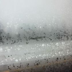 Groome Transportation - White out snow in Flagstaff, warm inside Groome shuttle !