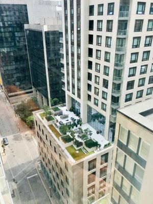 Executive Hotel Cosmopolitan Toronto by null