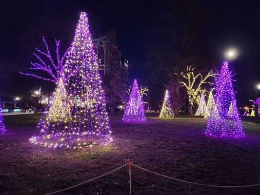 Queen Victoria Park by null