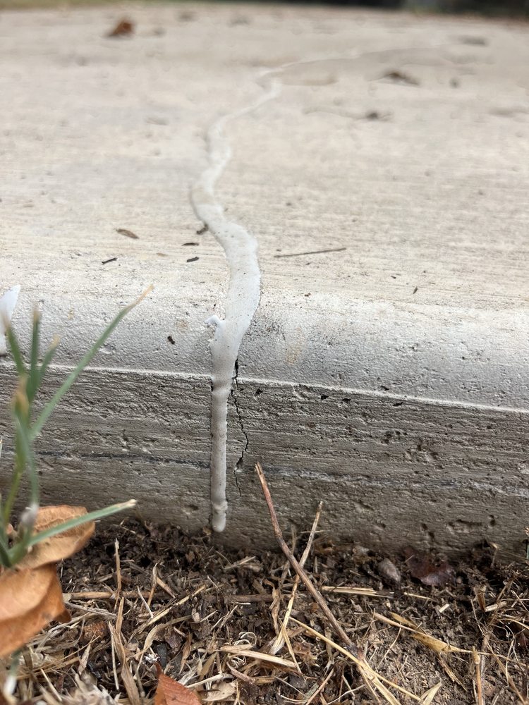 Slide of Blue Tide Exteriors