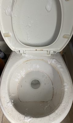 Pet cleaning - This client had a dog hair infestation in there entire home. Just a little sneak peak of before and after. Janet’s cleaning services . We gave them a nice clean environment. Call us for your free consultation today ! :)