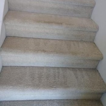 Carpet Plus - Carpet Cleaning Near Me Carpet Plus - Carpet Cleaning Near Me