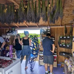 Harbor View Lavender Farm - The shop full of goodies for purchase