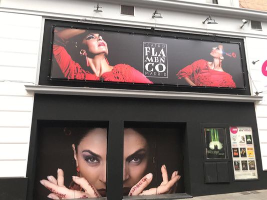 Teatro Flamenco Madrid by null