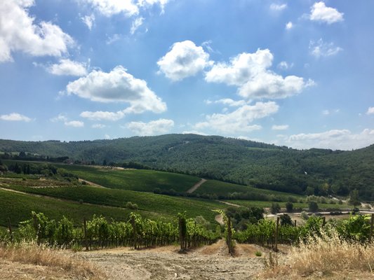 Querciabella · Società Agricola Querciabella SpA by null