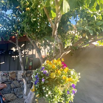 Sparrows Lodge - Hotels Near Me - Palm Springs, California Sparrows Lodge - Hotels Near Me - Palm Springs, California