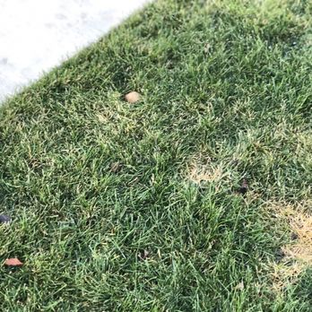Pine Valley Ranch - Renter in upper apartment is not mentally okay. Throws rocks at siding during early morning hours. No security after 5 a.m. - Apartments Near Me - Spokane, Washington