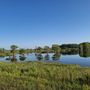 Photo of Lake Searcy