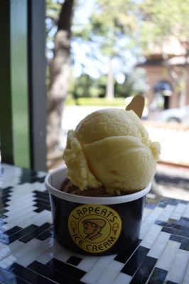 Lappert's Ice Cream by null