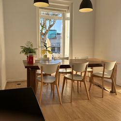 Roots Cafe - Dining area