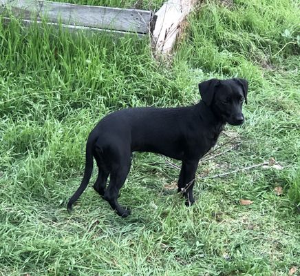 Southern Oregon Humane Society