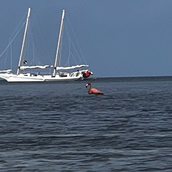 Danger Charters - Rafting/Kayaking Near Me - Key West, Florida Danger Charters - Rafting/Kayaking Near Me - Key West, Florida