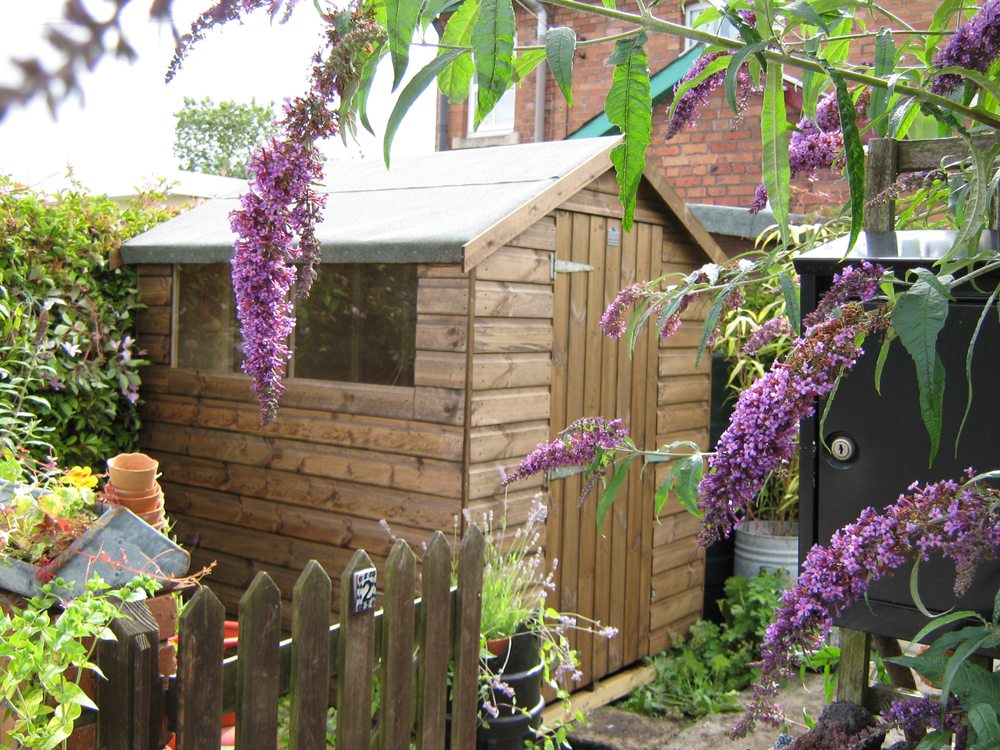 SHED SCENE Kemps Garden Centre, Bristol, South Gloucestershire