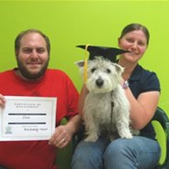 Canine Creature Comforts - Graduation Day - Pet Sitting Near Me - East Whiteland, Pennsylvania Canine Creature Comforts - Graduation Day - Pet Sitting Near Me - East Whiteland, Pennsylvania