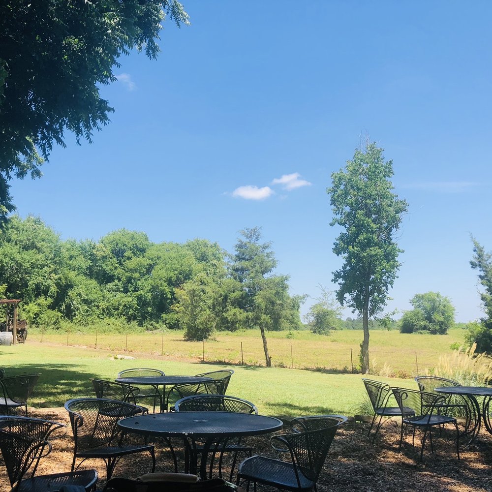 Bernhardt Winery - Scenery - Wineries Near Me - Plantersville, Texas