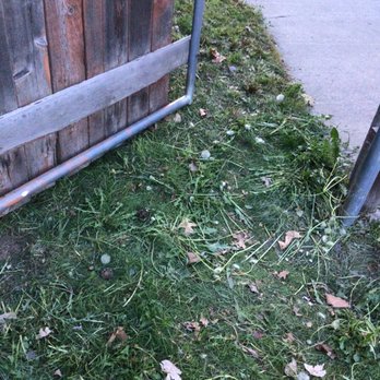 Legend Lawn Care - Paid for weed whacking, they didn't do it - Lawn Services Near Me Legend Lawn Care - Paid for weed whacking, they didn't do it - Lawn Services Near Me