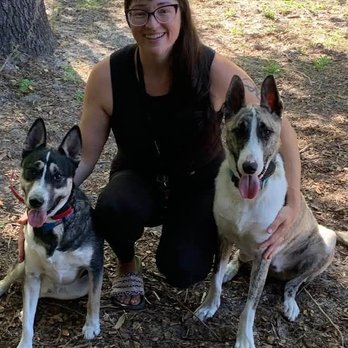 Bruces Best Boys - Pet Training Near Me - Inverness, Florida