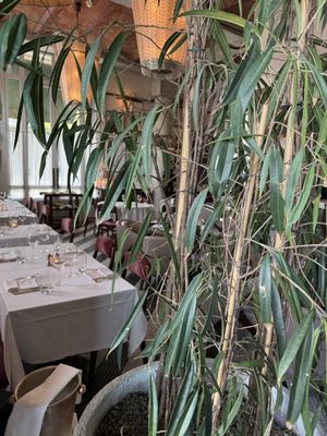 Cecconi's Barcelona by null