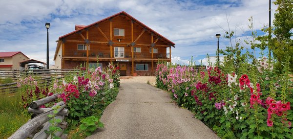 Bryce Wildlife Adventure by null