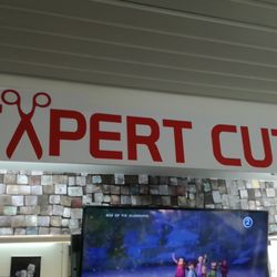 Expert Cut