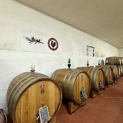 Casa Emma - Wine tour
