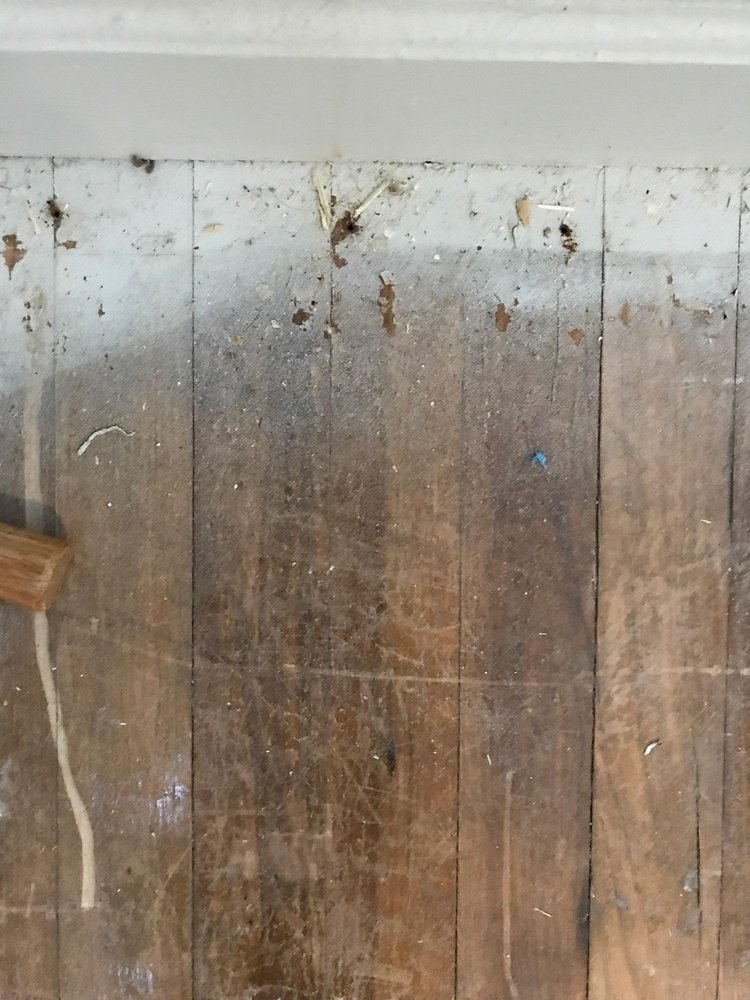 RUPPERT WOOD FLOORS Updated September 2024 13 Photos Eugene , Oregon Flooring Phone