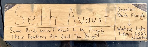 Sign Post Forest by null