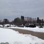 Photo of Forestdale Cemetery