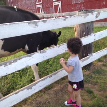 Collins Creamery - My baby with the cows - Ice Cream & Frozen Yogurt Near Me - Enfield, Connecticut Collins Creamery - My baby with the cows - Ice Cream & Frozen Yogurt Near Me - Enfield, Connecticut