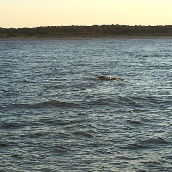 Rudee Tours - Tours Near Me - Virginia Beach, Virginia Rudee Tours - Tours Near Me - Virginia Beach, Virginia