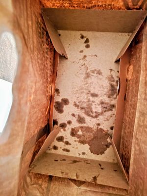 Shake Shack South Lake Union by null