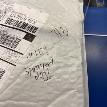 US Post Office - Proof they ADMITTED TO SPRAYING MY DOG! - Post Offices Near Me - Lemon Grove, California US Post Office - Proof they ADMITTED TO SPRAYING MY DOG! - Post Offices Near Me - Lemon Grove, California