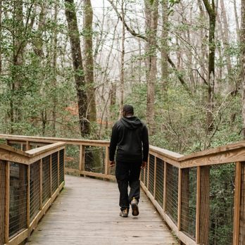 Congaree National Park - Parks Near Me - Hopkins, South Carolina