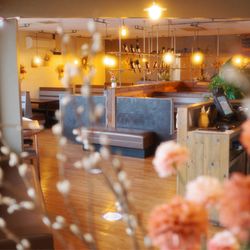 Royal Orchid Thai Restaurant